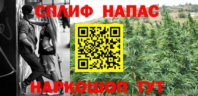 мдпв Бийск